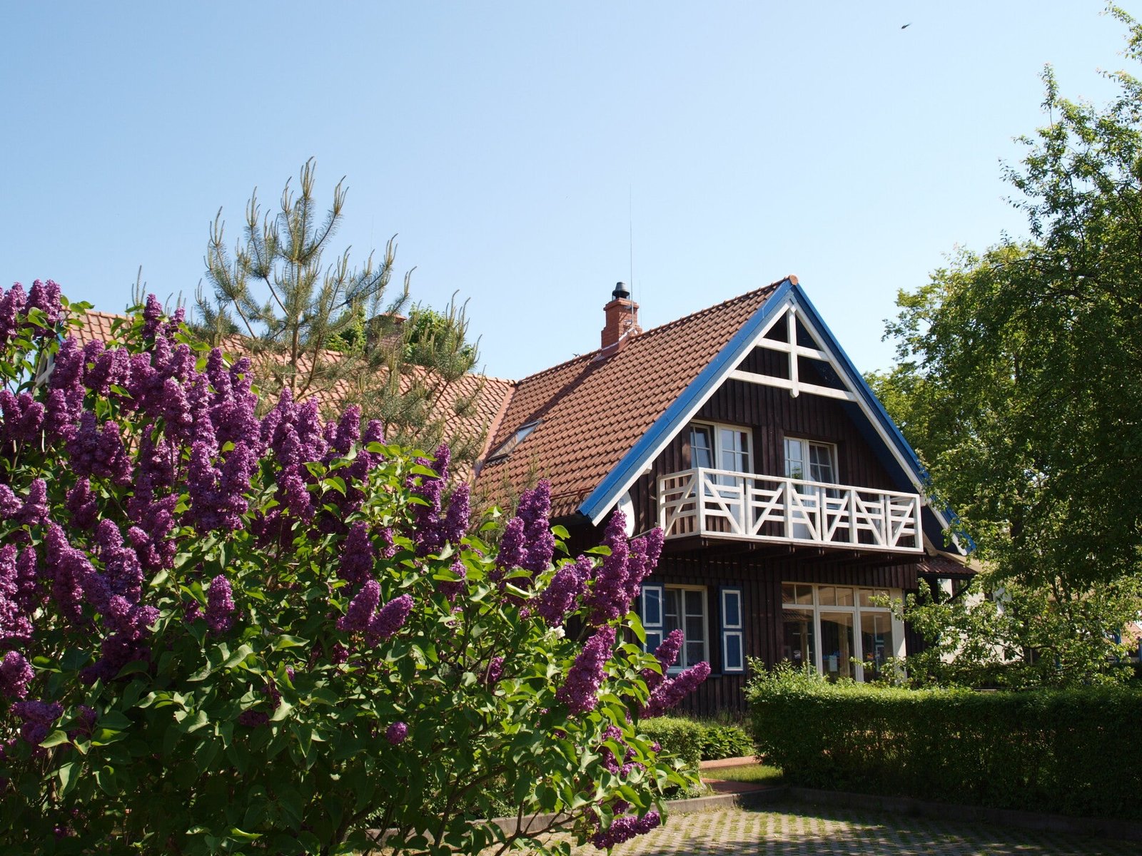 Aika Guest House in Nida